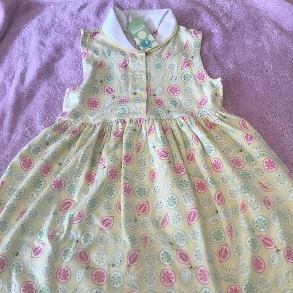 NWT gymboree lemony fresh melon dress 9 citrus
